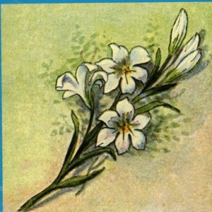 oracolo-lenormand