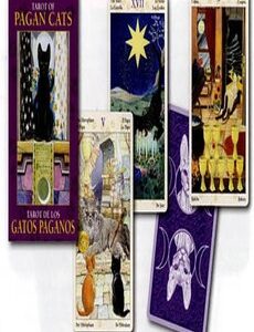 9788865271674_0_230_350_0